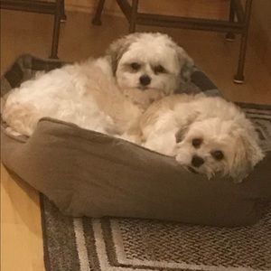 Meet your Posher, Julie